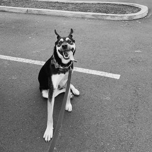 Meet your Posher, Joslyn